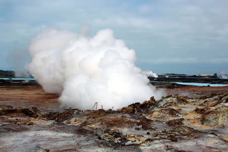 A geyser is pictured near Reykjavik, Iceland, June 7, 2016. REUTERS/Jemima Kelly