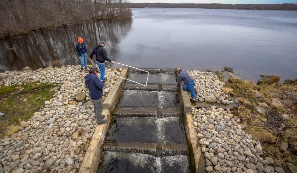 Workers with the Rhode Island Department of Environmental Management install an antenna at the top of a fish ladder leading to South Kingstown's Indian Lake, which will track when tagged river herring reach the ladder and exit it above the dam.