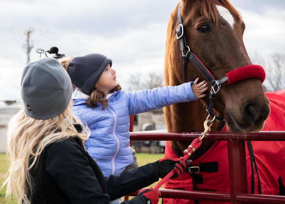Savannah Wood, 3, of Doylestown, greets Hank the Horse at Broad Commons Park in Doylestown Borough, during the 1,400-pound Tennessee Walker horse's visit on Monday, November 28, 2022. Hank, who is the brand ambassador for the nonprofit, For Hank's Sake, stopped in Doylestown on his way to Times Square in New York City for Giving Tuesday.
