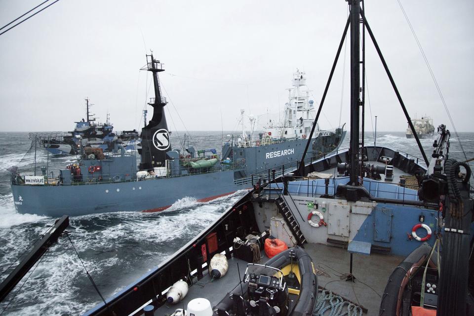 Japanese whaling ship Yushin Maru almost collides with the Sea Shepherd vessel, the 'Steve Irwin' in Antarctica