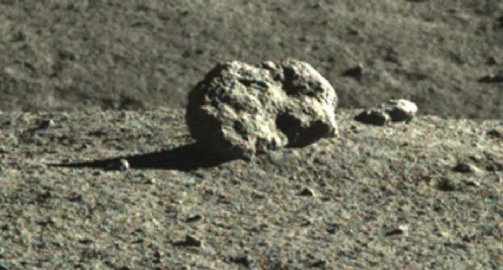 rabbit-shaped moon rock