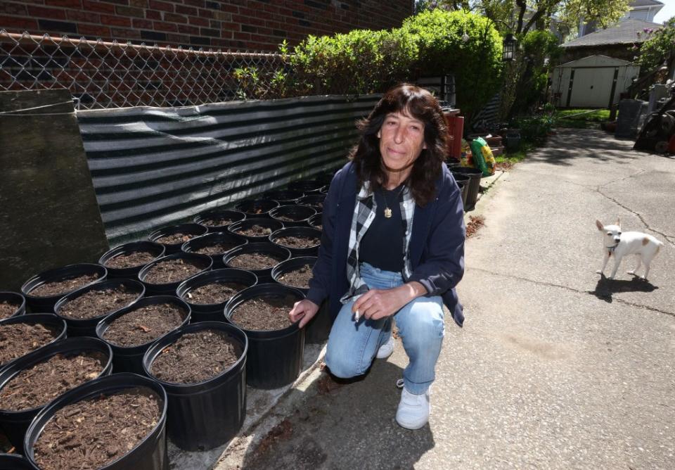 Silk alongside the “Screw You, Michael Bloomberg Gardens,” 100 five-gallon buckets of soil where she grows tobacco Brigitte Stelzer