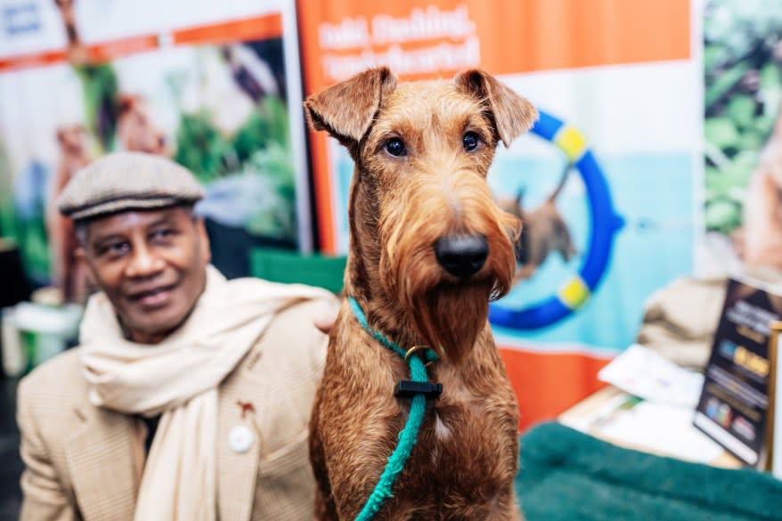 Fitz, an Irish Terrier, at the American Kennel Club’s “Meet the Breeds” event.