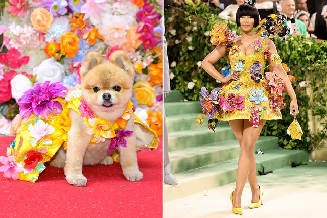 <p>John Ricard; Theo Wargo/GA/The Hollywood Reporter via Getty Images</p> LaLa tje Pomeranian at the Pet Gala (left) and Nicki Minaj at the 2024 Met Gala
