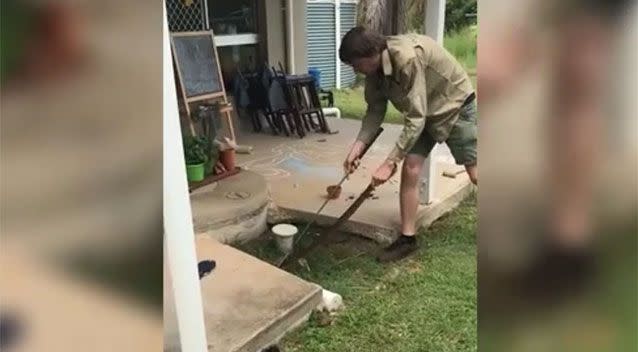 The snake had been seen a couple of times near the play area and was believed to be living under the concrete slab. Source: Snake Catcher Noosa/ Facebook