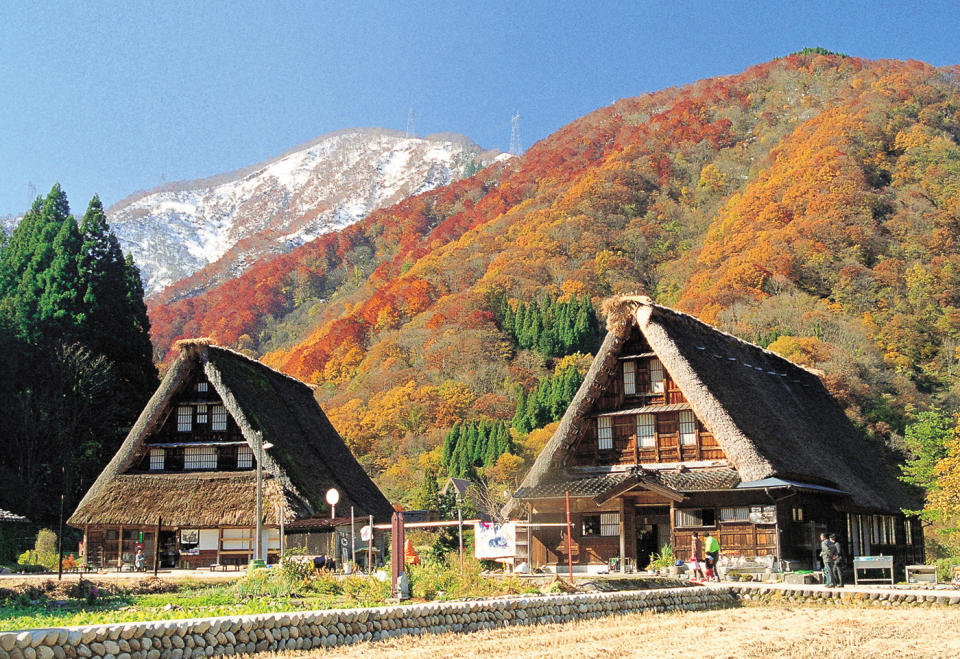 ▲  富山縣五箇山合掌村相較於白川鄉，遊客相對較少，更為恬靜。（圖/鳳凰旅遊）