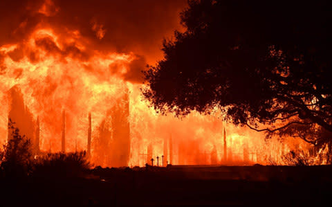 The main building at Paras Vinyards burns  - Credit: AFP