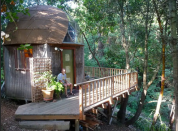 <p>Los huéspedes también sienten que están en una casa del árbol, por lo que la experiencia es muy enriquecedora.<br><br>Foto: Airbnb/<a rel="nofollow noopener" href="https://es.airbnb.com/rooms/8357?guests=1&adults=1" target="_blank" data-ylk="slk:Mushroom Dome Cabin;elm:context_link;itc:0;sec:content-canvas" class="link ">Mushroom Dome Cabin</a> </p>