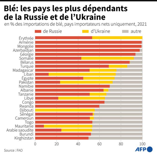 Les pays les plus dépendants aux céréales russes et ukrainiennes.