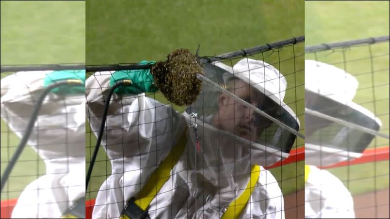 捕蜂人Matt Hilton緊急救援滅蜂任務。（圖／翻攝自CUT4 X）