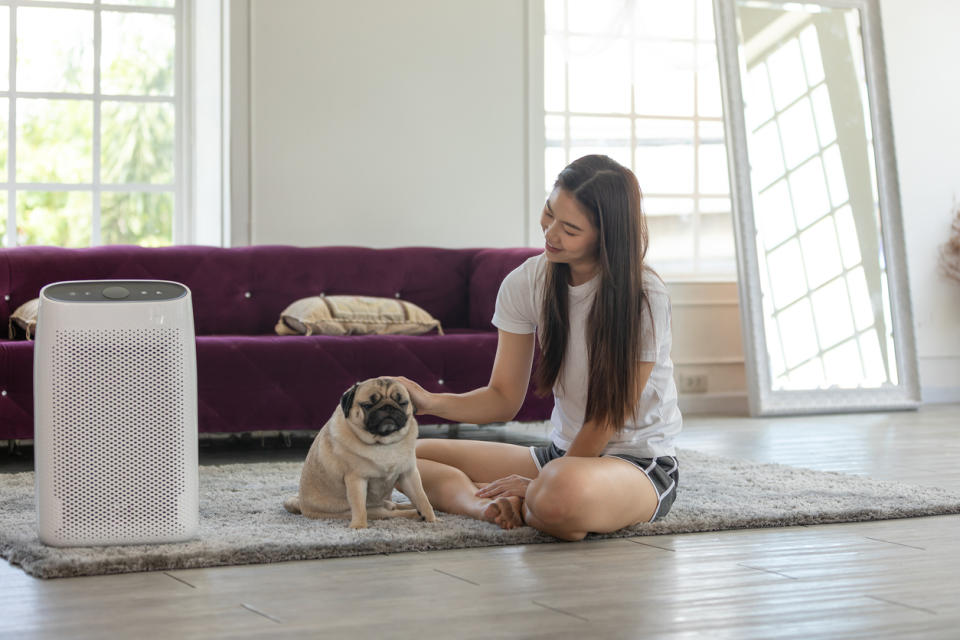 Air purifier in cozy house to filter dust, smokes and allergies