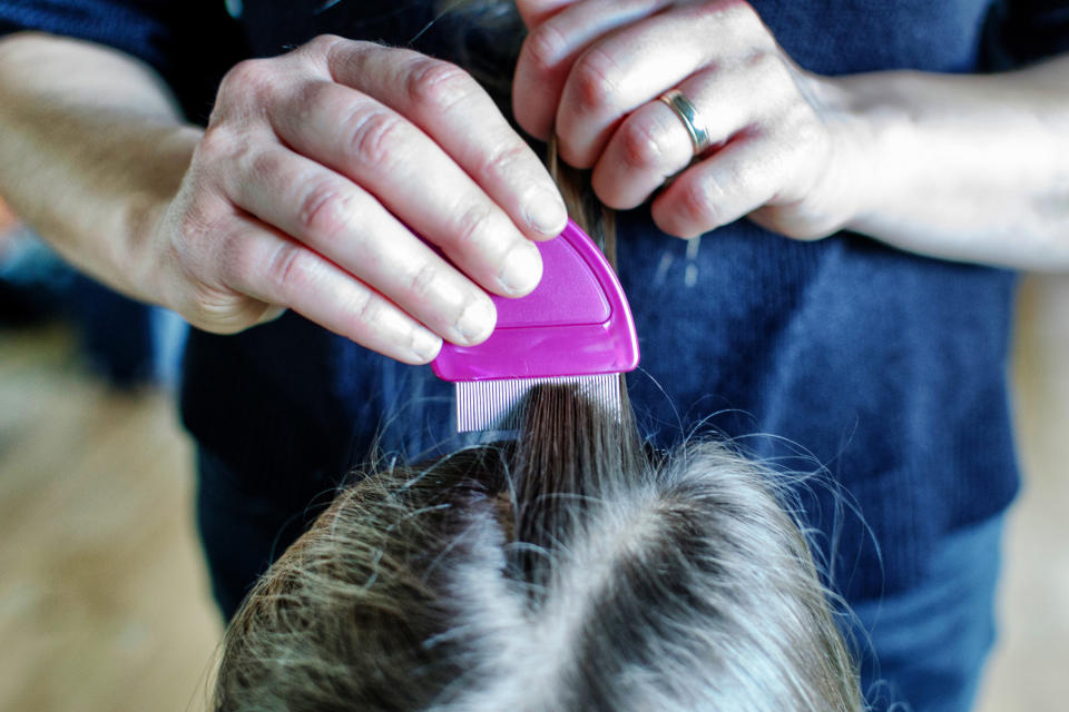 adult brushing through child's hair with a lice comb