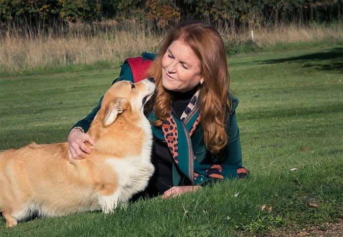 Sarah Ferguson con los corgis de la reina