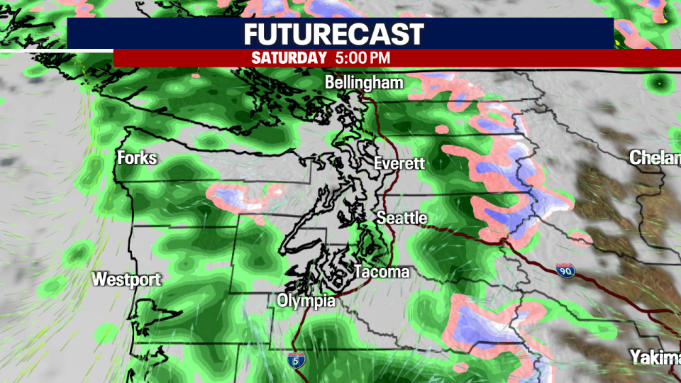 <div>FUTURECAST NEXT 48 HOURS</div> <strong>(FOX 13 Seattle)</strong>