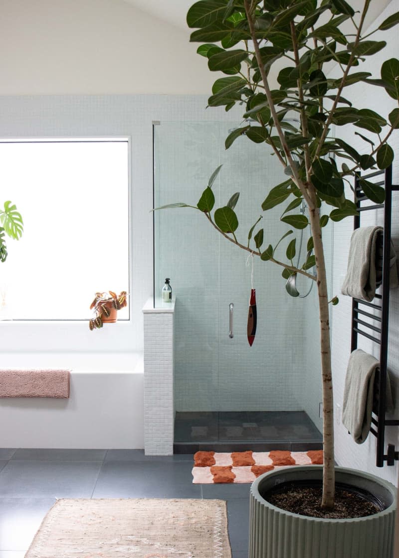 Potted tree outside of shower in newly renovated bathroom.