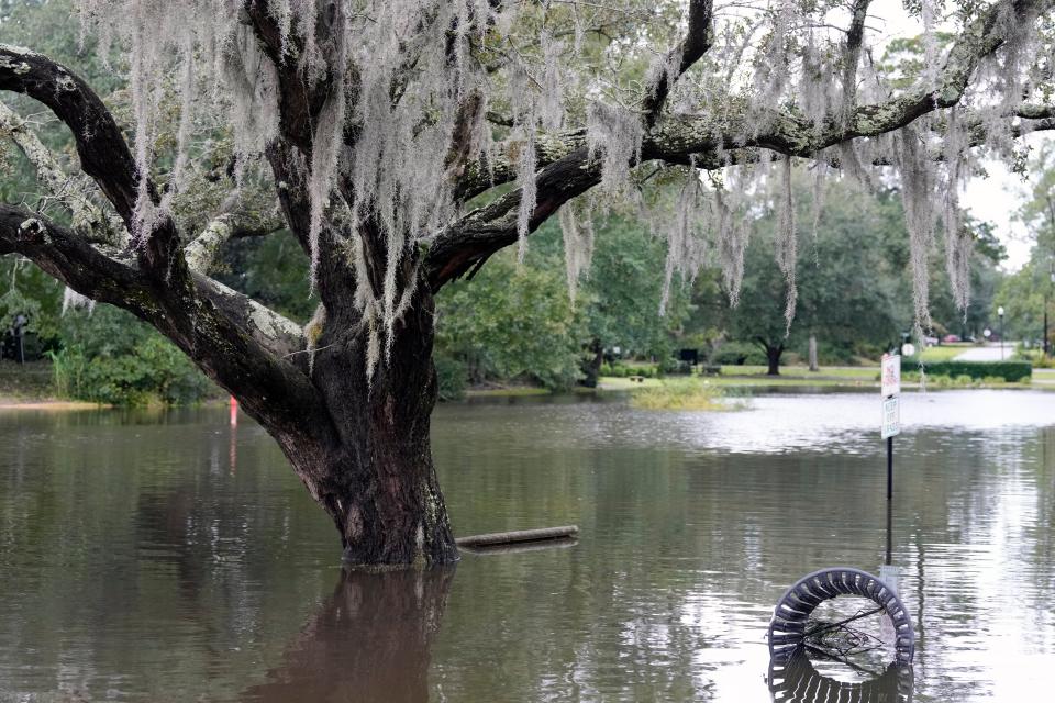 Waters from a rain-swollen pond cover grass and a foot path around Quarterman Park in North Charleston, S.C., after Hurricane Ian brought sheets of rain to the area. (AP)