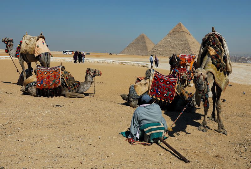 A man waits for tourists to rent his camels in front of the Great Pyramids of Giza, on the outskirts of Cairo