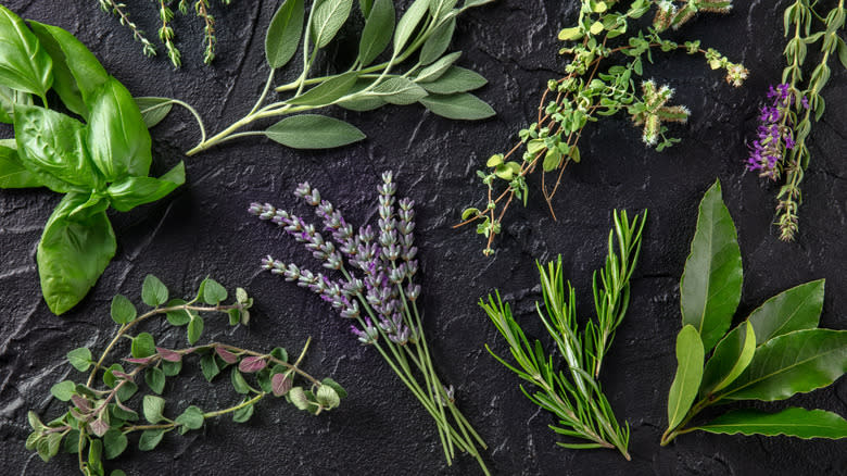 assortment of fresh herbs