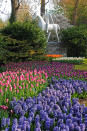 The 80-acre exhibition near the town of Lisse in the Netherlands, is described as one of the most beautiful gardens in the world. (Caters News)