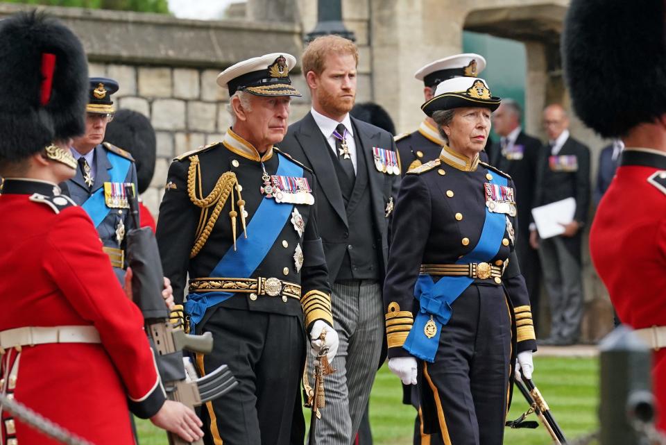 king charles, prince harry, princess anne