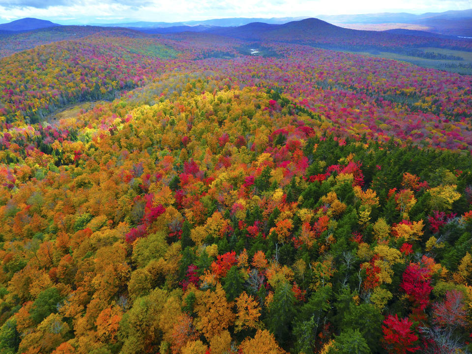 Aerial images capture beautiful autumn landscape 