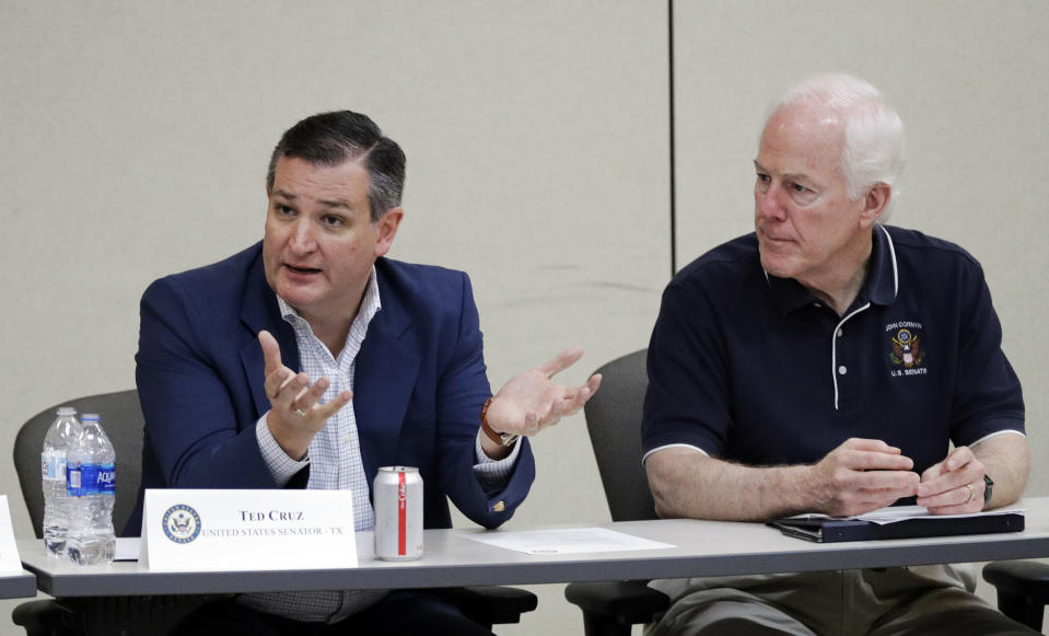 Cruz and fellow GOP Sen. John Cornyn of Texas discuss their immigration proposal on June 22, 2018, in Weslaco, Texas, after touring immigrant detention facilities for children in South Texas. (Photo: David J. Phillip/AP)