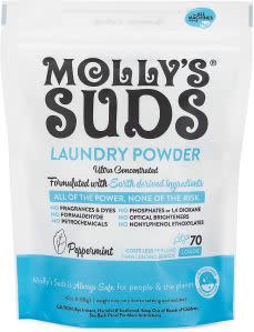 best laundry detergent mollys