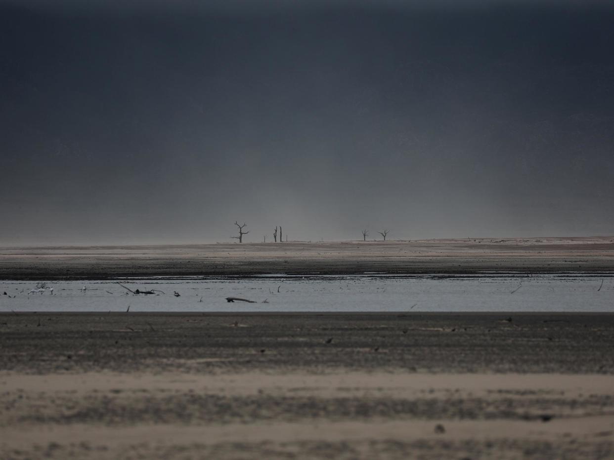 Sand blows across a normally submerged area at Theewaterskloof dam near Cape Town last month. The dam, which supplies most of the city’s potable water, is currently dangerously low: Photography by Reuters/Mike Hutchings