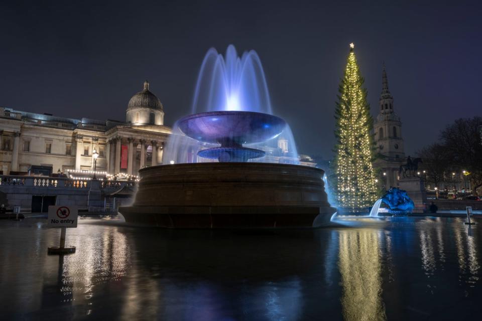 The Norwegian Christmas tree stands with its lights turned on at the end of a lighting ceremony in Trafalgar Square, in London.  (AP)