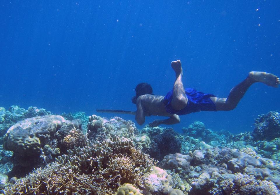 Buceador Bajau de Indonesia (AFP Photo/Melissa Llardo)