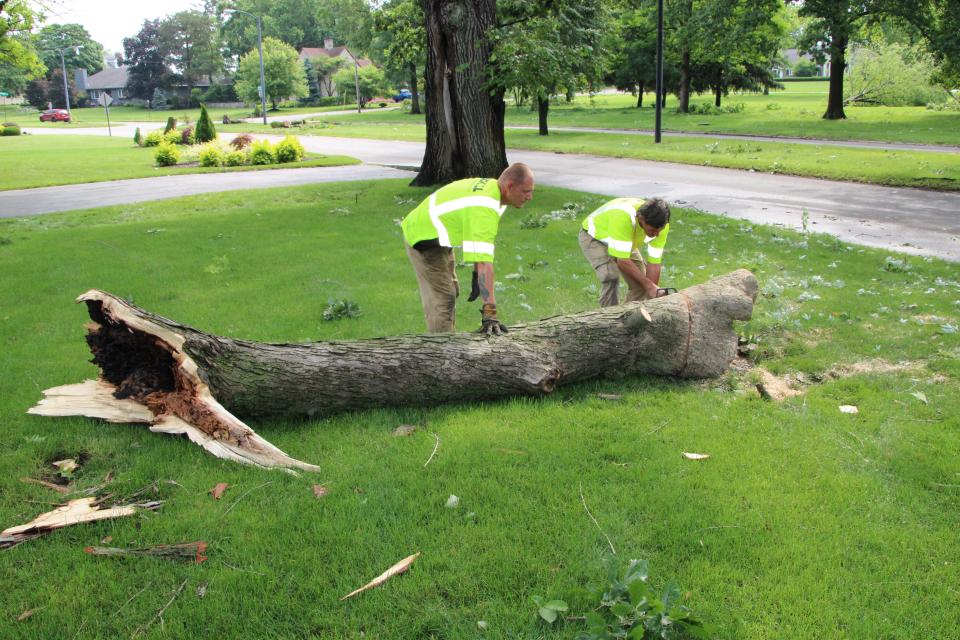 Employees of Schill Grounds Management work to remove a fallen tree from a residence along Vernon Heights Boulevard on Tuesday, June 14, 2022, following the heavy storm that swept through Marion County on Monday night.