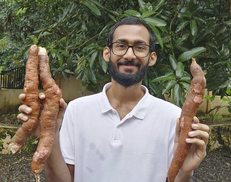 In this Sept. 11, 2020 photo, provided by Sijo Zachariah, Zachariah holds tapioca roots harvested from the farm that he and his father started during coronavirus lockdown in Alappuzha in the southwestern Indian state of Kerala. Guided by a combination of online videos and techniques Zachariah's grandfather passed down to his father, they began a garden that eventually helped feed 20 neighboring households during the pandemic. (Sijo Zachariah via AP)