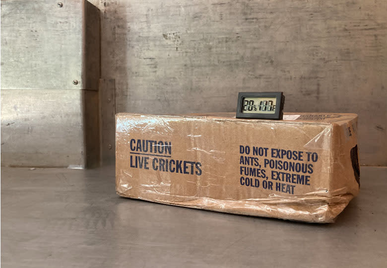 A thermometer on a box of crickets in an Oklahoma UPS truck reads 117 F. (Obtained by NBC News)