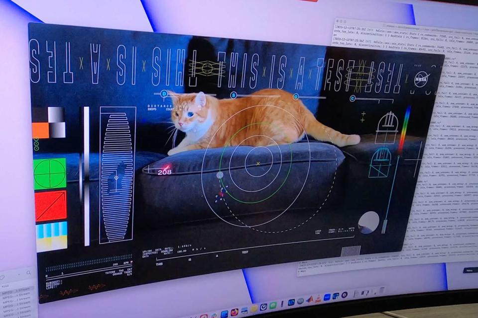 <p>NASA/JPL-Caltech</p> Taters the cat chases laser in a video sent from deep space by NASA