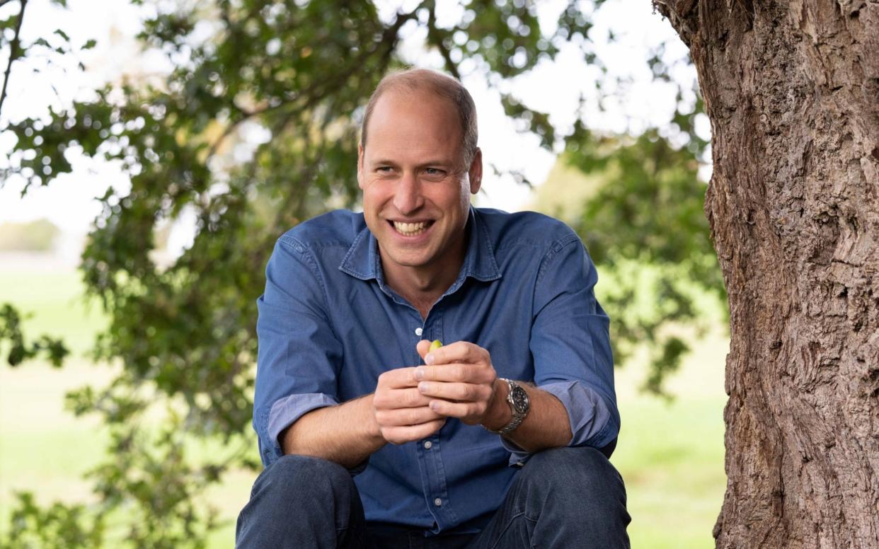 Duke of Cambridge sitting under the canopy of an oak tree in the grounds of Windsor Castle. The future king has said there is "no choice but to succeed" when tackling the problem of climate change over the next 10 years - PA