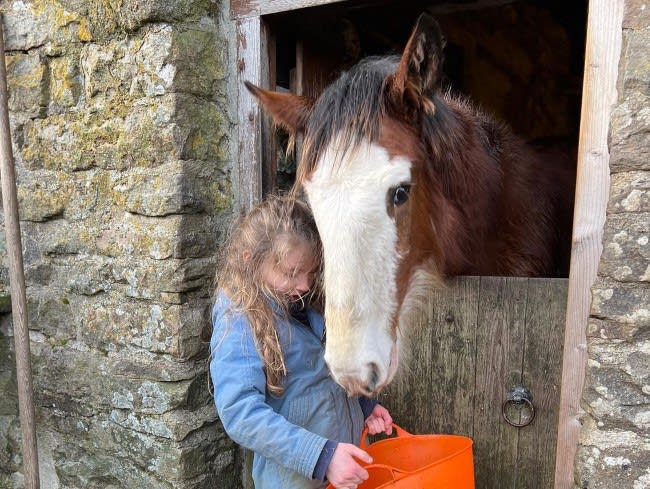 amanda owen daughter horse