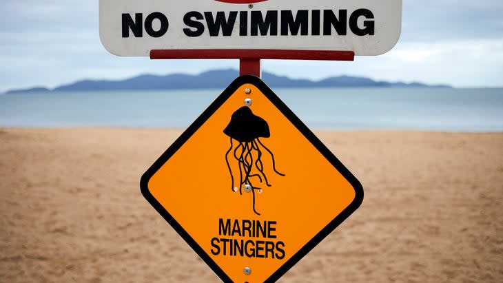 box jellyfish warning sign