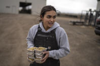 Graduate student Maya Swenson carries samples of cattle feed to be weighed at Colorado State University's research pens in Fort Collins, Colo., Wednesday, March 8, 2023. The school's research centers on supplements that can be fed to dairy cows and beef cattle on feedlots, where most U.S. cattle spend their final four to six months before slaughter. The Colorado State effort hopes to reduce greenhouse gases the animals produce and delve into other sustainability issues with its testing of cattle supplements. (AP Photo/David Goldman)