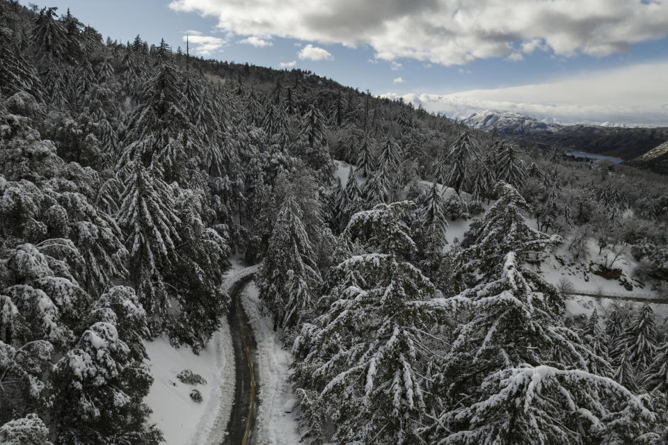 Snow-covered trees are seen along State Route 138 near Hesperia, Calif., Wednesday, March 1, 2023. Emergency crews are scrambling to shuttle food and medicine to residents of California mountain communities stranded by back-to-back winter storms. (AP Photo/Jae C. Hong)