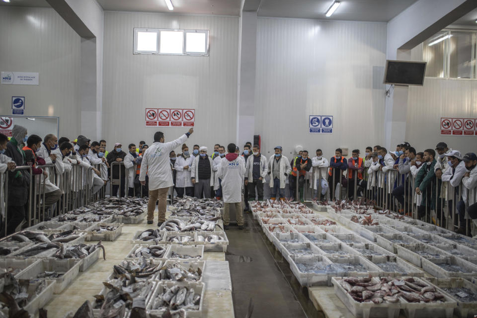 Fish is displayed for merchants during an auction at the main port in Dakhla city, Western Sahara, Monday, Dec. 21, 2020. U.S. plans to open a consulate in Western Sahara mark a turning point for the disputed and closely policed territory. U.S. recognition of Morocco’s authority over the land frustrates indigenous Sahrawis seeking independence. But others see the future U.S. consulate as a major boost for Western Sahara cities like Dakhla. (AP Photo/Mosa'ab Elshamy)
