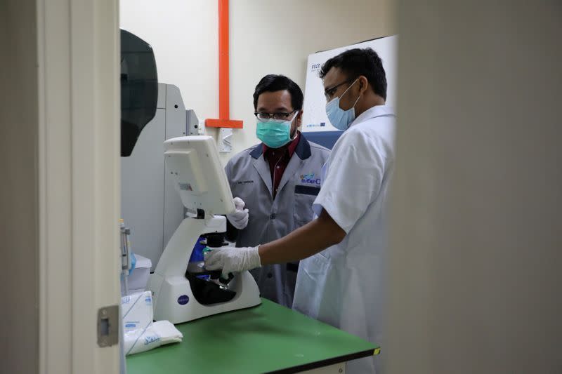 Malaysian Professor Muhammad Lokman Md Isa inspects Sumatran Rhinoceros cells at a laboratory in International Islamic University, in Kuantan