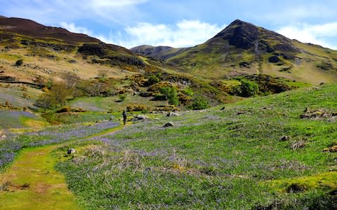 Lake District - Credit: Getty