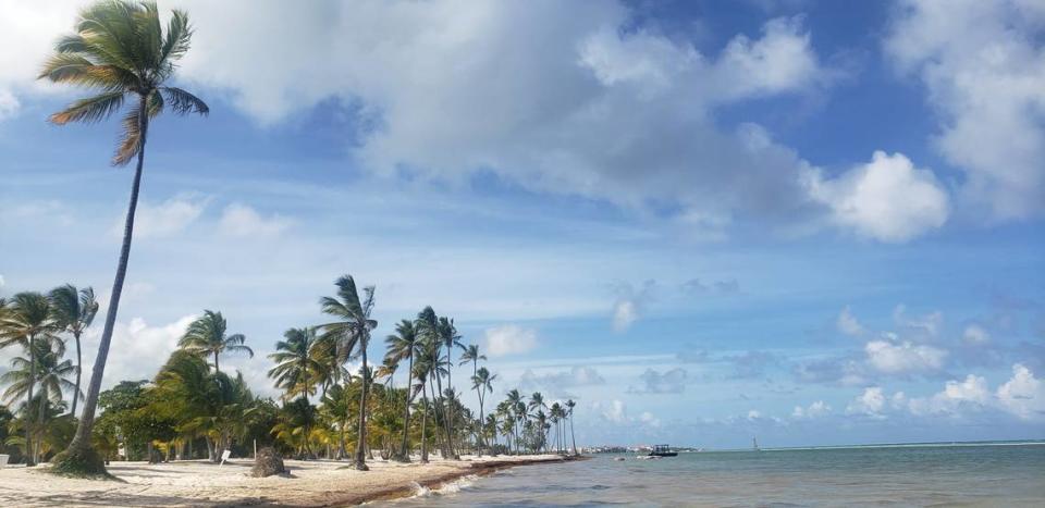 A beach in Punta Cana, Dominican Republic.