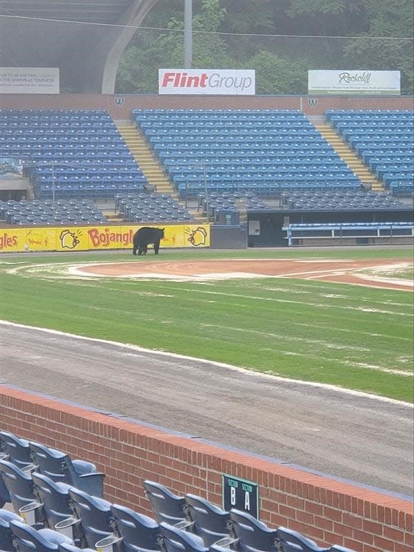 A black bear was seen roaming McCormick Field.