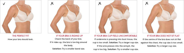 Are 8 Out of 10 Women Really Wearing the Wrong Bra Size? - The New York  Times