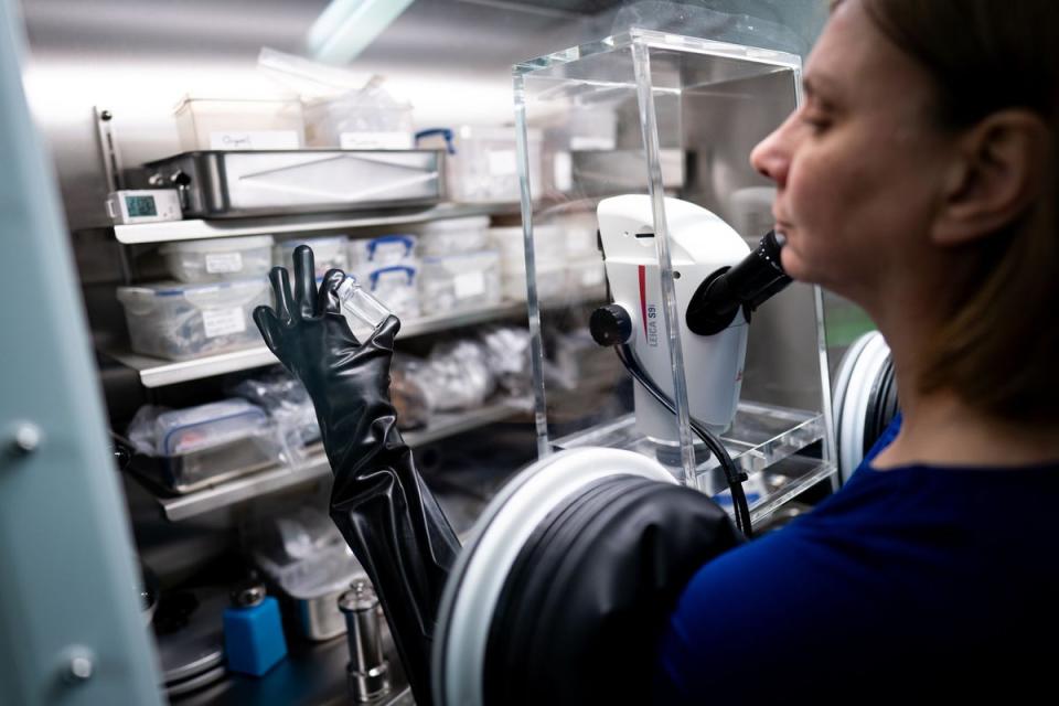 Scientists at London's Natural History Museum (Aaron Chown/PA Wire)