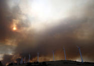 <p>A wildfire burns near the village of Tafalla, Navarra, northern of Spain on Aug. 25, 2016. The fire has burnt 2,000 hectares. (Photo: JESUS DIGES/EPA)</p>