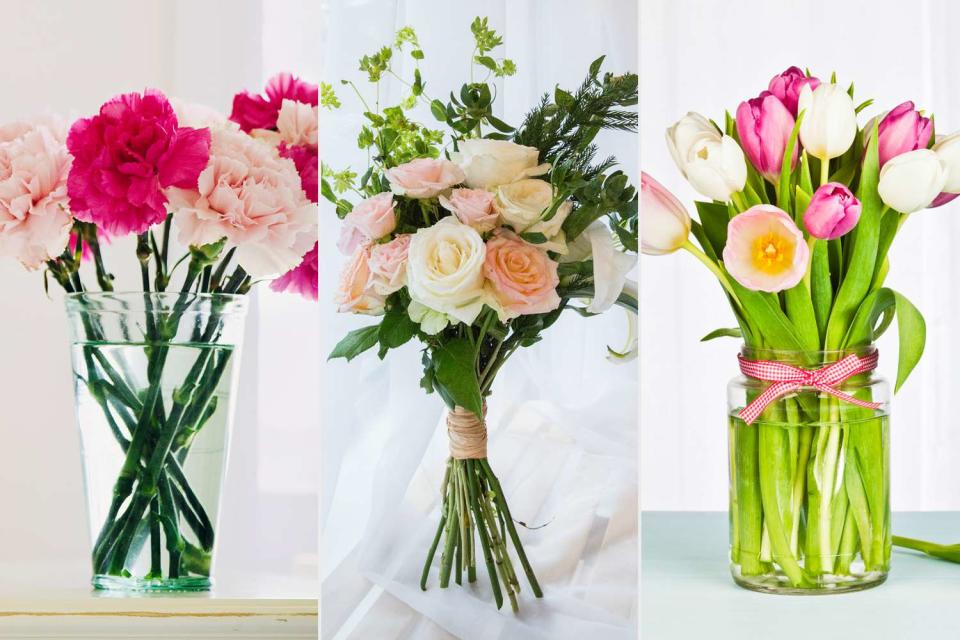<p>Judy Davidson/Getty; MOAimage/Getty; CatLane/Getty</p> Different types of flowers (stock image)