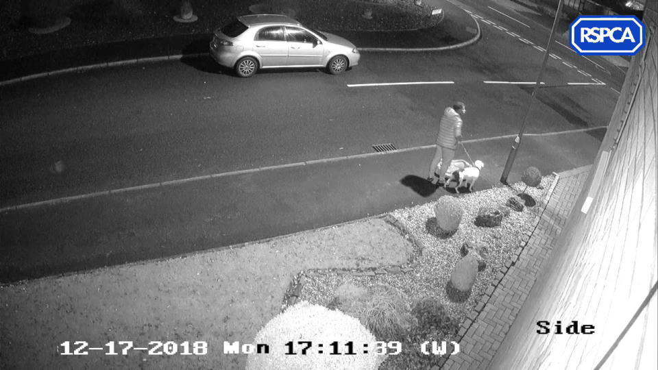 CCTV screengrab issued by the RSPCA of a man abandoning a Staffordshire bull terrier in Trentham. (PA).