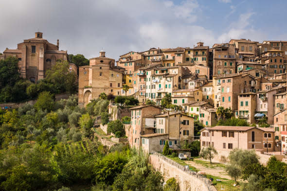 Siena Skyline with Orchards